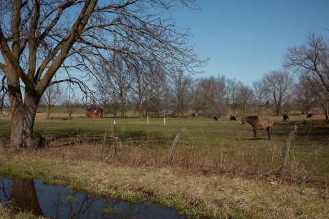 Scene on an Amish farm in rural Missouri's "Amish County," near the town of Clark