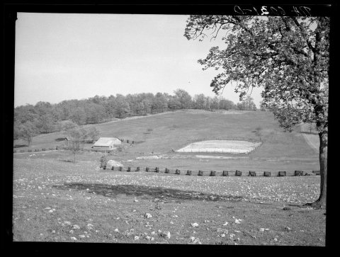 Cut-over bottom land badly eroded through faulty drainage. Meramec Forest project. Salem, Missouri