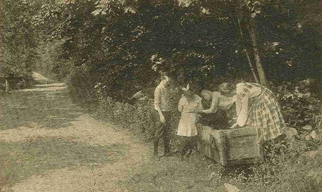 Drinking Trough
