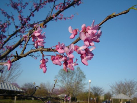 반가움 Rest Area (Visitor Center I85) Georgia