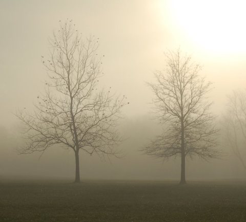 Misty morning - Flickr - John Kratz