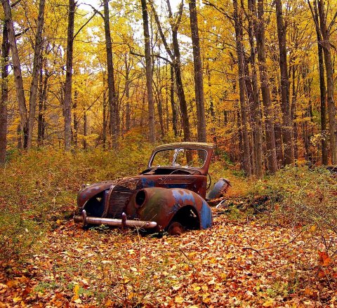 Flickr - Nicholas T - Ruins