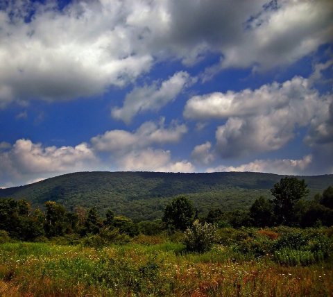 Flickr - Nicholas T - Ridge View