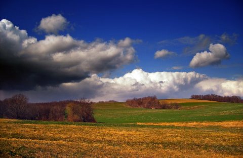Flickr - Nicholas T - Burgeoning (1)