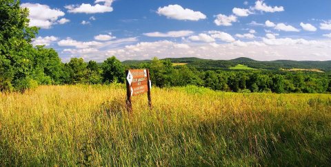 White Township Fallow