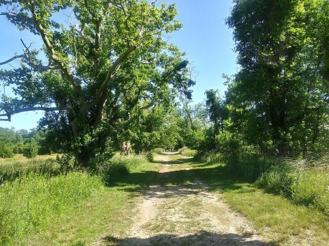Weltz Park trail