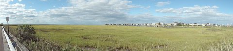 Holgate marsh