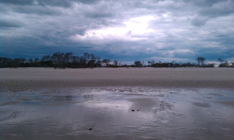 Holgate