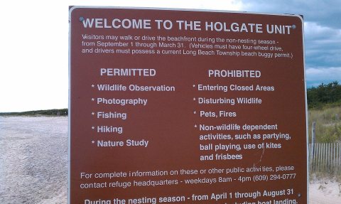 Holgate Sign