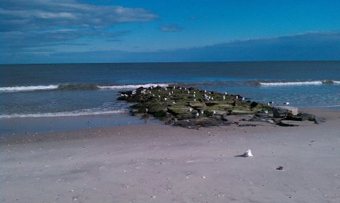 Beach Jetty