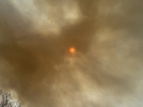 2025-04-23 12 05 11 View up towards the sun through the smoke plume of the Jones Road Fire from the Garden State Parkwa…