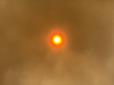 2025-04-23 12 05 21 View up towards the sun through the smoke plume of the Jones Road Fire from the Garden State Parkwa…