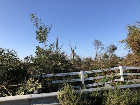 2021-09-07 08 38 13 Tree damage from the Mullica Hill EF3 tornado of September 1 2021 viewed along U.S. Route 322 and G…
