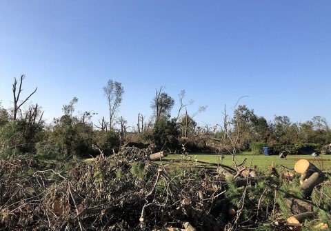 2021-09-07 08 38 02 Tree damage from the Mullica Hill EF3 tornado of September 1 2021 viewed along U.S. Route 322 and G…