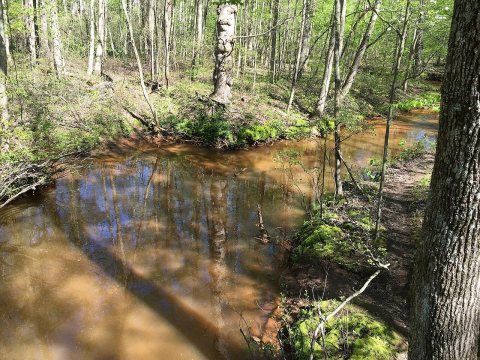 Shark River at Shark River County Park