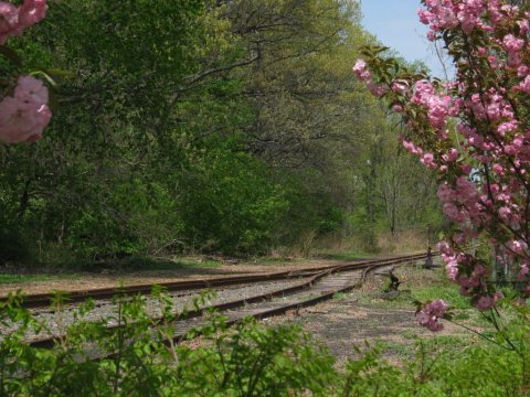 NetleyRAilraod1
