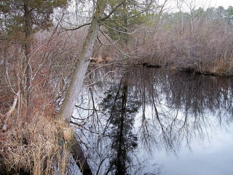 Tuckahoe River New Jersey