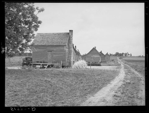 Row of tenant houses on plantation near Montezuma, Georgia