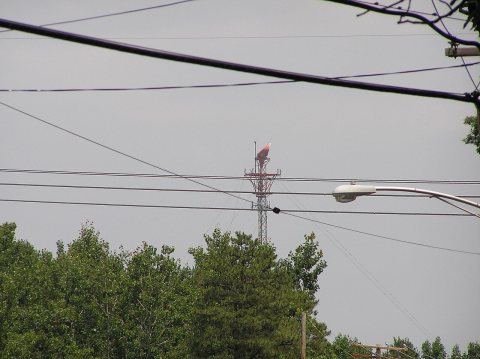 Monroe Twp Tower 2005