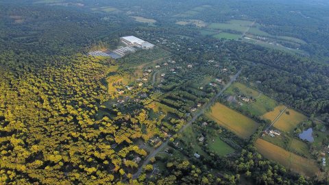 Swinesburg