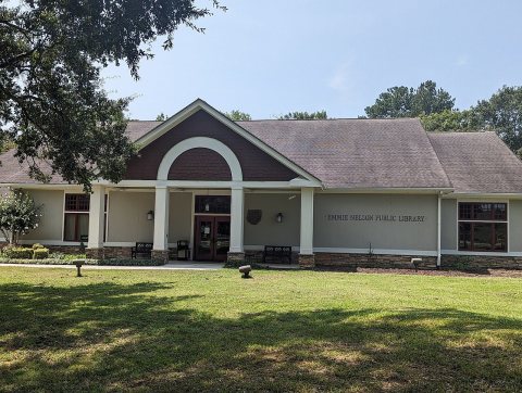 Emmie Nelson Public Library