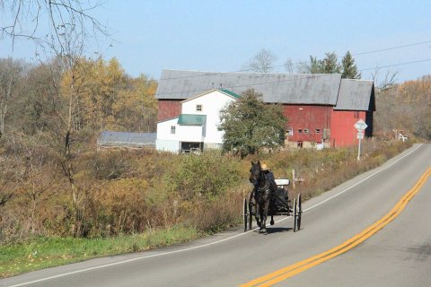 Amish buggy on US Route 62 in Dayton, New York, October 2012