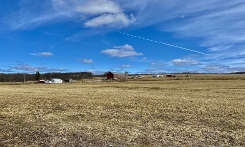 Late winter pastoral scenery