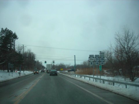 Untitled photo