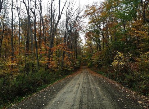Rural scenery in the Town of Friendship, New York, October 2015