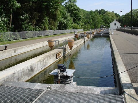 Bath NY Fish Hatchery