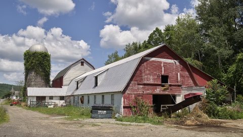 Dairy barn complex near Candor, New York