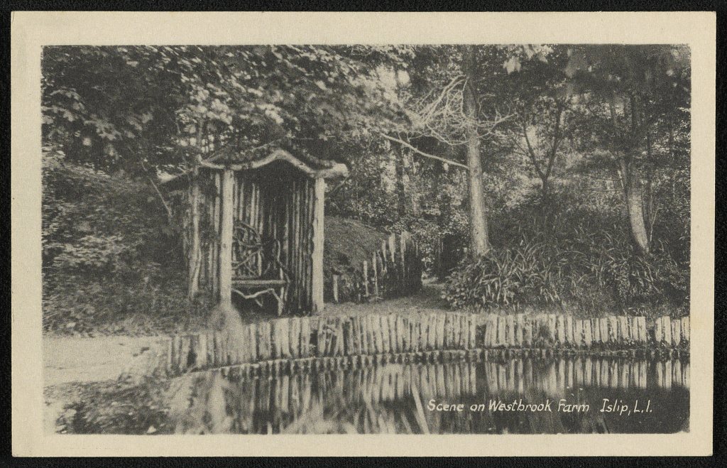 Scene on Westbrook Farm