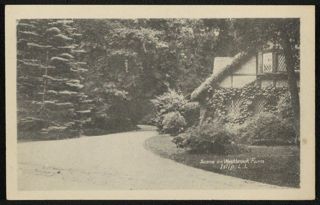 Scene on Westbrook Farm