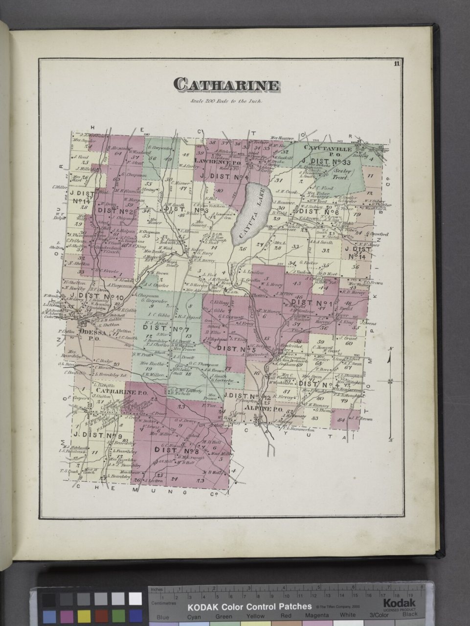 Catharine (Township)