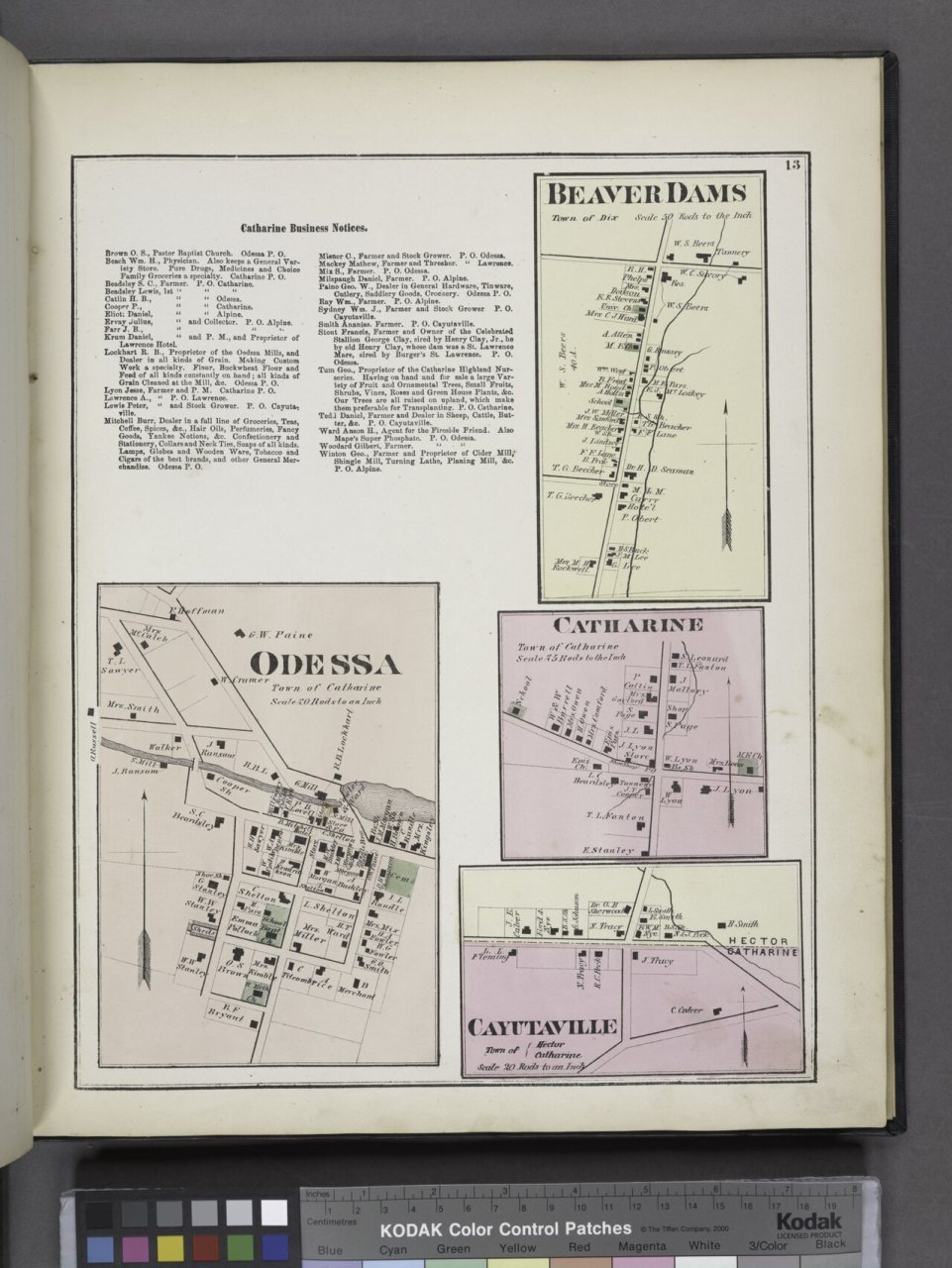 Catharine Business Notices.; Odessa (Village); Beaver Dams (Village); Catharine (Village); Cayutaville (Village)