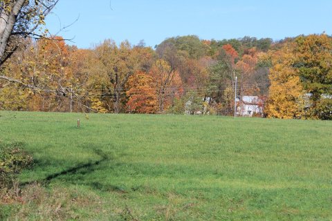 Scenery along Point Peter Road, Town of Persia, New York, October 2012
