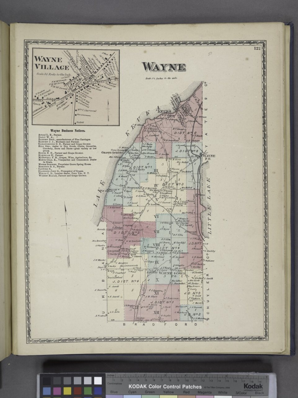 Wayne Village (Village); Wayne Business Notices.; Wayne (Township)