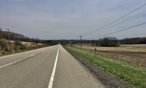 Untitled photo