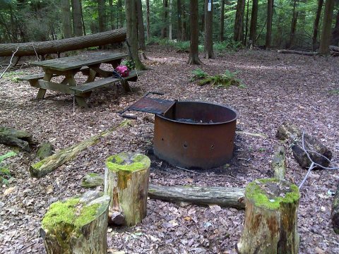FLT M06 4.5, 0.2 on blue Marg Hinz mi - Marg Hinz Bivouac with fire ring, table, outhouse, and piped spring