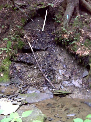 FLT M06 4.5, 0.2 mi on blue Marg Hinz - Marg Hinz Bivouac piped spring
