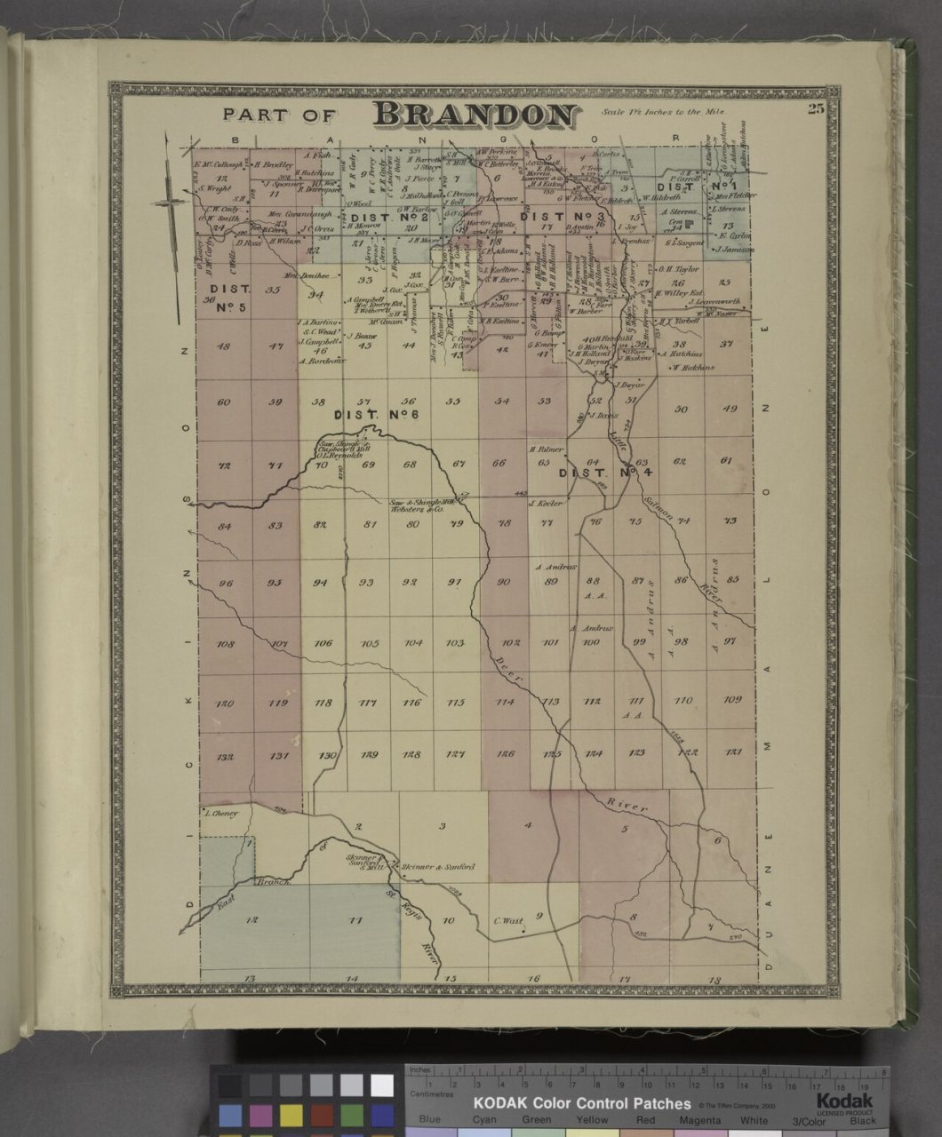 Part of Brandon (Township)