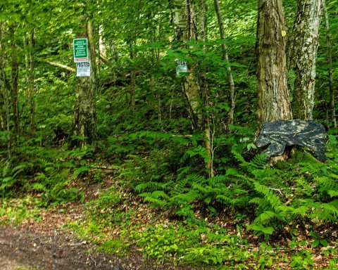 Beginning of Doubletop Mountain herd path with closure signs, Seager, NY