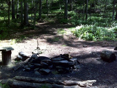FLT M31 8.1 mi - Designated bivouac 4 N of Alder Lake, nearby piped spring