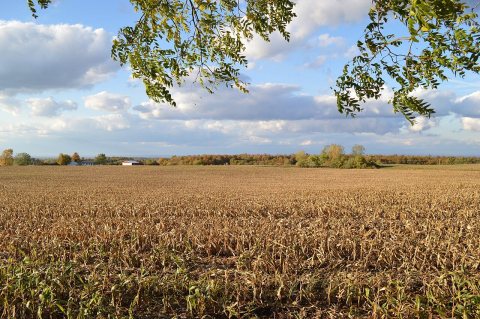Sullivan, NY, USA - panoramio (10)