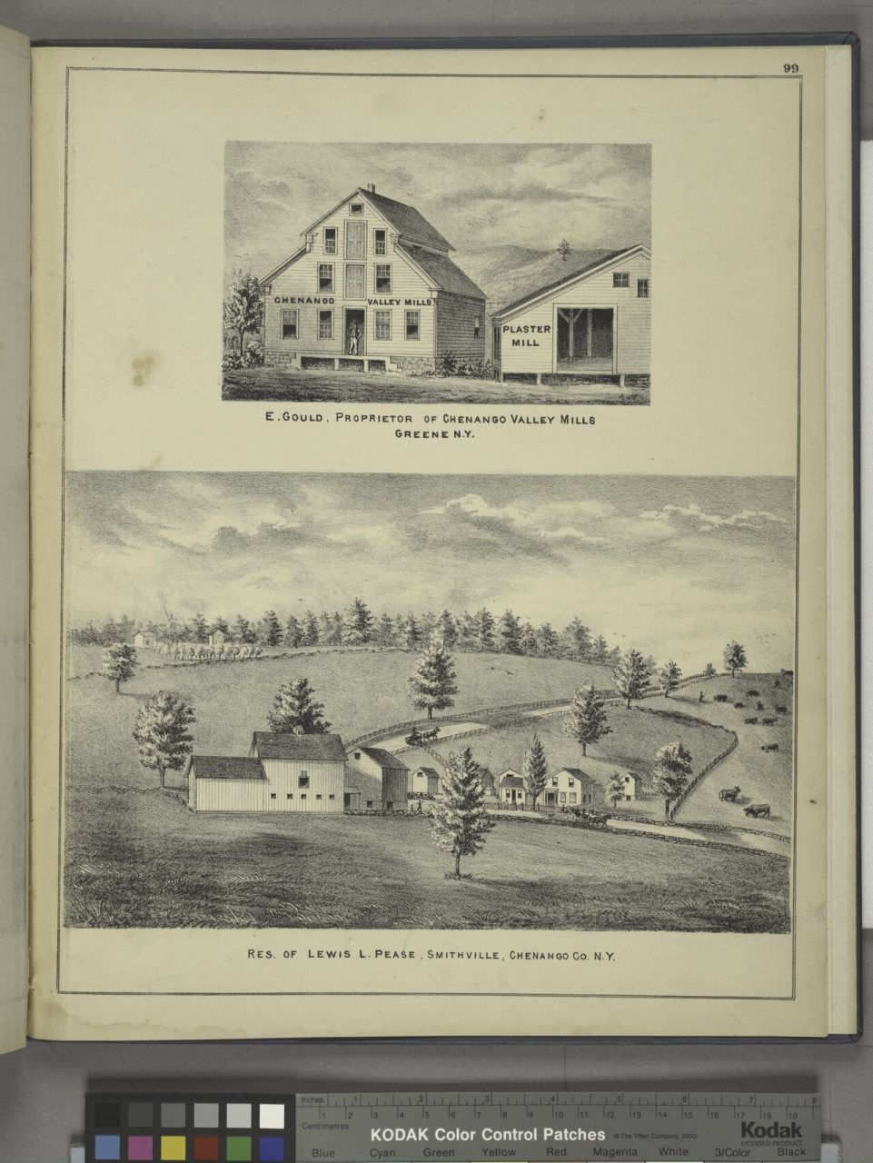 E. Gould, Proprietor of Chenango Valley Mills Greene N.Y; Res. of Lewis L. Pease, Smithville, Chenango Co. N.Y