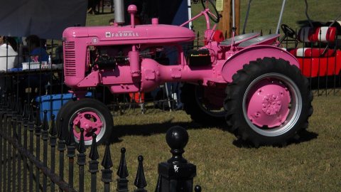 Pink IHC Farmall tractor