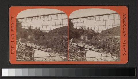 Lyon Brook Bridge, Chenango Co., N.Y. 830 ft. long; 165 ft. high, from the East