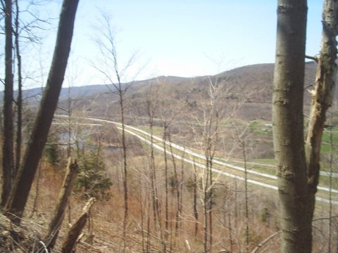 Charlotteville Road - East