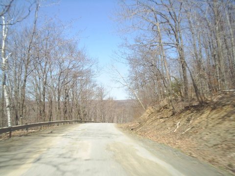 Charlotteville Road - East