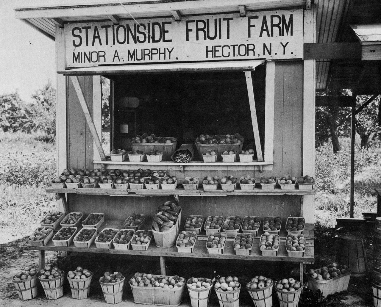 Historical Black and White